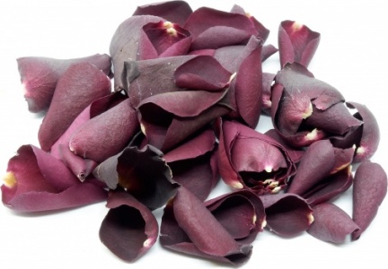 Burgundy Rose Petals